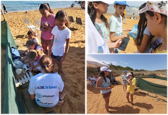 Students on a beach doing research.