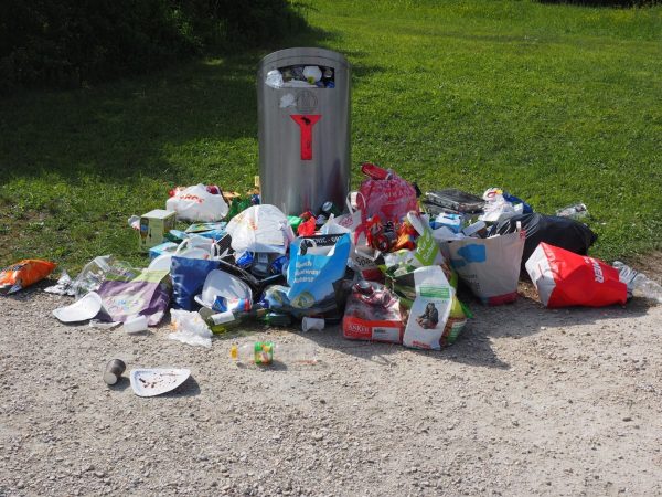 A overflowing garbage is standing in a park.