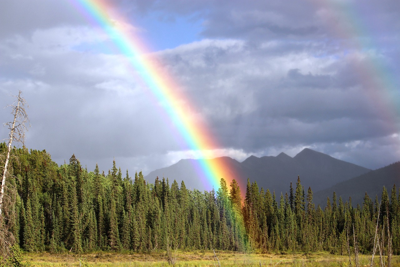 Rainbow In The Sky ICSE International Centre For Stem Education
