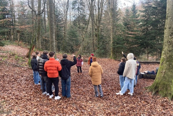 School class in the forest
