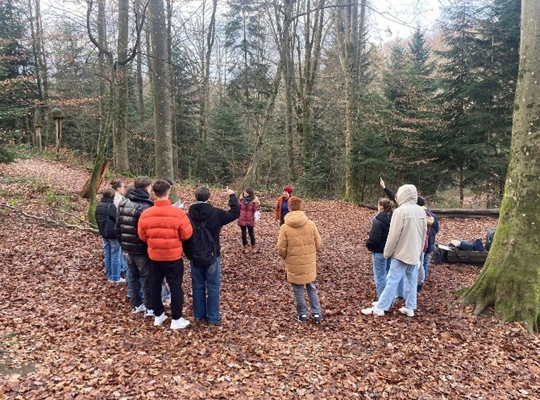 School class in the forest