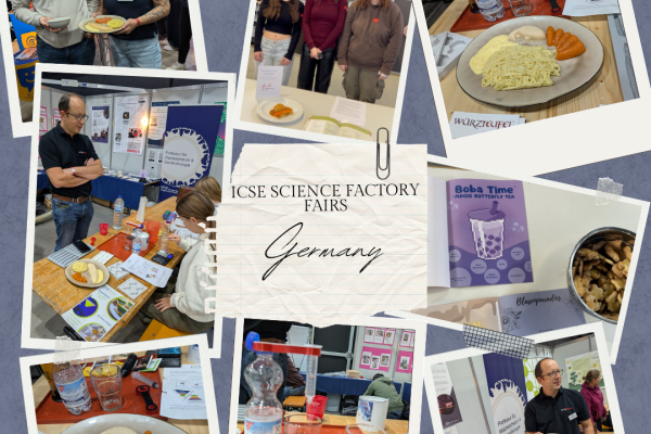 Germany fairs health