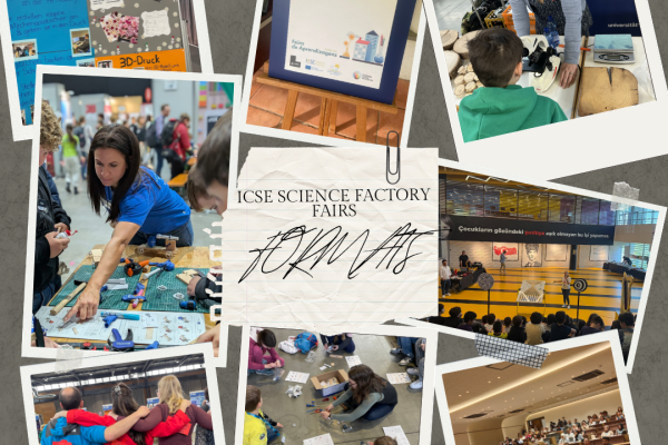 ICSE Factory Fairs, formats